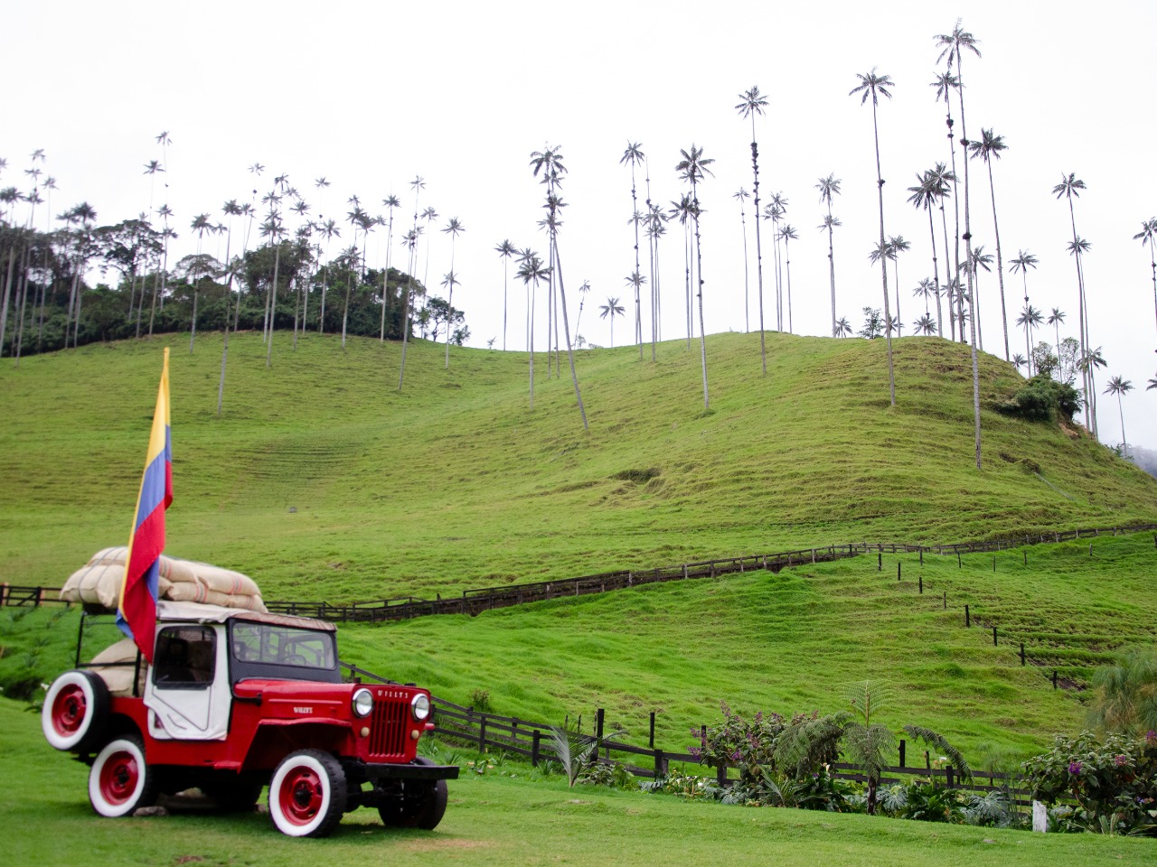 Foto de Valle de Cocora